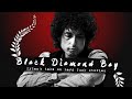 Deciphering Bob Dylan's: 'Black Diamond Bay'