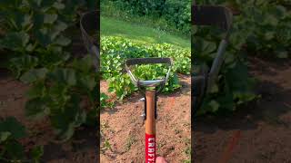 Download lagu I’m impressed! # Craftsman Stirrup Garden Weed Hoe! mp3 Download lagu I’m impressed! # Craftsman Stirrup Garden Weed Hoe! mp3