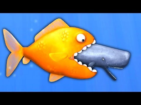 MERTEN KUNINGAS | Pelataan Tasty Blue #2