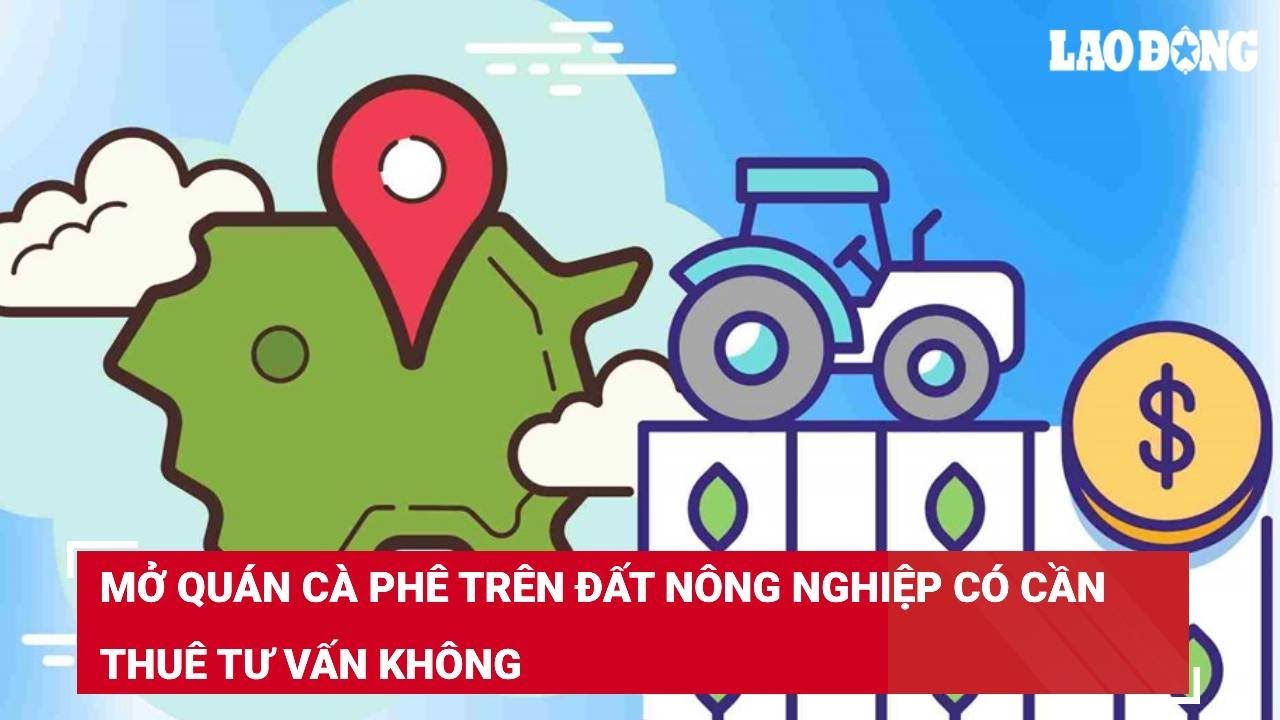 Mở quán cà phê trên đất nông nghiệp có cần thuê tư vấn không?