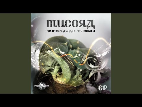 Rack 95 (Original Mix)