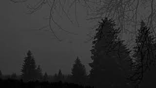 Dark Ambient - Vinterriket - Schneewald 2005