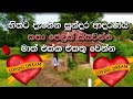 Hithata Denena Sundara Adaraniya Katha Pelak Kiyawanna Math Ekka Ekathu Wenna