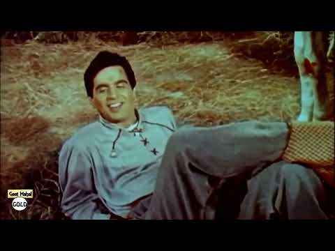 Maan Mera Ehsan Are Nadaan Meine Tujhse Kiya Hai Pyar ((Jhankar)) Aan 1952 - M Rafi