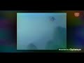 THE EMPEROR S NEW GROOVE VHS TRAILER