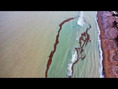 Mass Transfer Principles for Gas Liquid Vapor Liquid Unit Operations Trailer