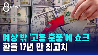 예상 밖 '고용 훈풍'에 쇼크..환율 17년 만 최고치 / SBS 8뉴스