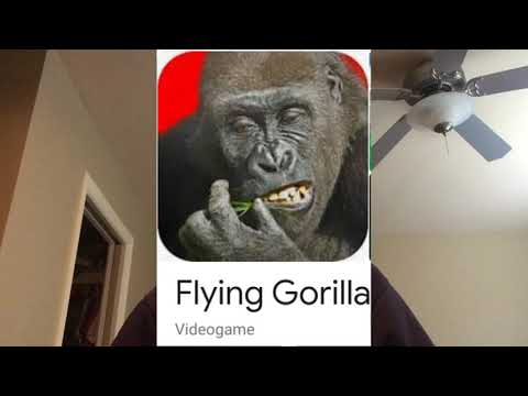 Flying Gorilla Review - YouTube