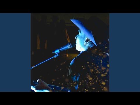 Llanero Vuelve a Tu Llano