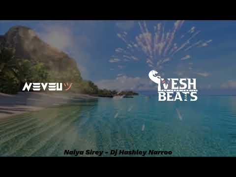 Bhojpuri Boys - Naiya Sirey remix Ft. Dj Hashley Narroo