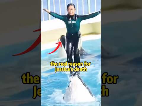 The real reason for Jessica’s death #celebrity #jessica
