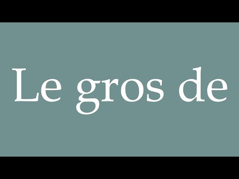 How to Pronounce ''Le gros de'' (The bulk of) Correctly in French