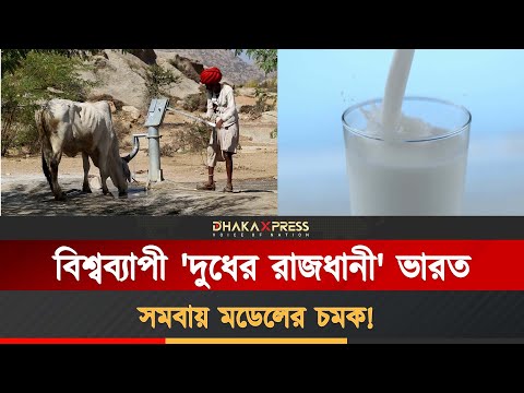 ভারতকে বিশ্বের বৃহত্তম দুগ্ধ উৎপাদনকারী দেশ বানিয়েছে গুজরাট