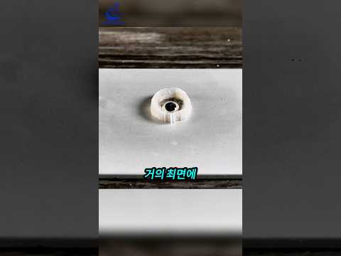 수은 한 방울에 알루미늄이 자라나는 이유🧪