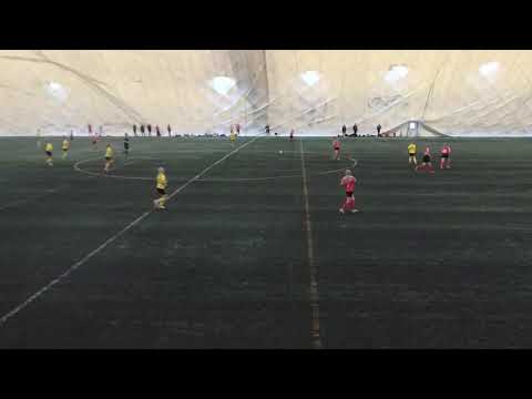 Hippo 2021 ONS08 yj1 vs VJS