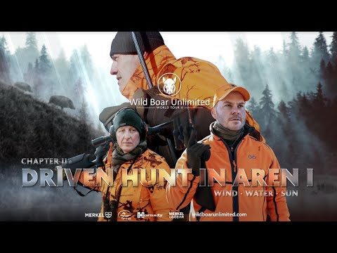 Driven Hunt In Aren 1 | Chapter 2 | Wild Boar Unlimited Season 2