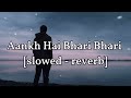 Aankh Hai Bhari Bhari Slowed Reverb Kumar Sanu Break Heart
