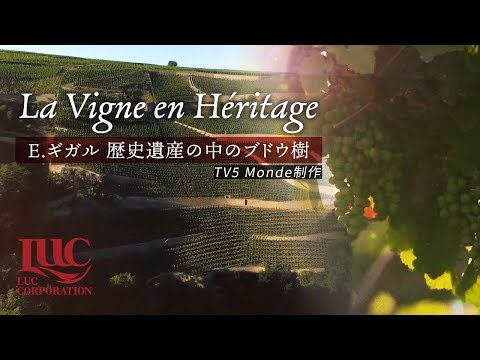 ドラツ (ベラネ) - 定義