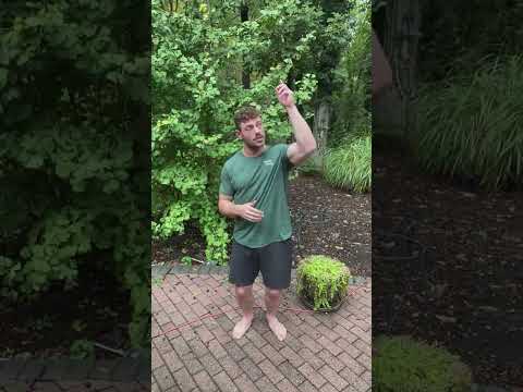 Does Vibration Therapy Actually Do Anything?