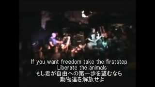 字幕付MOB47 &quot;Stop the slaughter&quot;