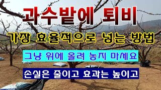 [텃밭농부 1,822]  과수밭에 퇴비를 가장 효율적으로 넣는 방법.