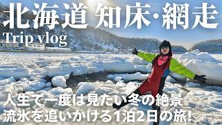 【北海道旅行】流氷を巡る知床・網走観光❄️ 北こぶしで過ごす贅沢オールインクルーシブ宿泊記