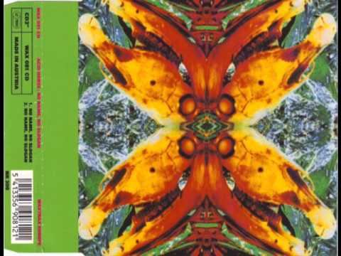 Acid Horse - No Name, No Slogan (12'' Version)