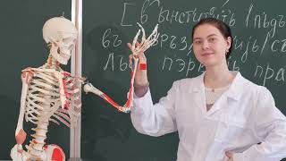 Представляем Сибирский государственный индустриальный университет