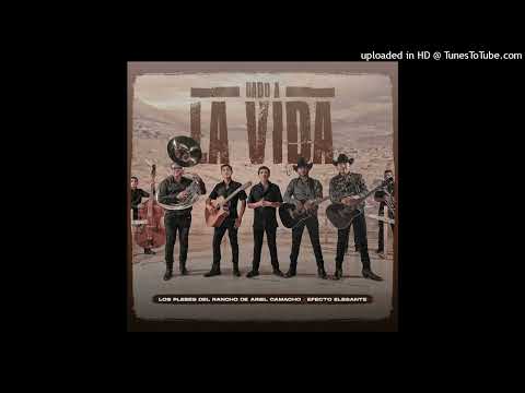 Dado A La Vida - Los Plebes Del Rancho Ft. Efecto Elegante