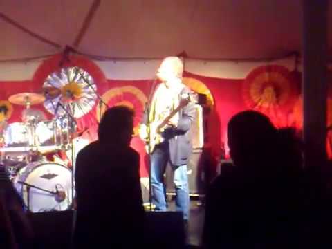 Dream City - Oppe i træet