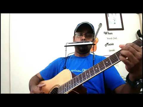 Parshuram Subramanian Senorita - Harmonica - Guitar Dual Instrumental