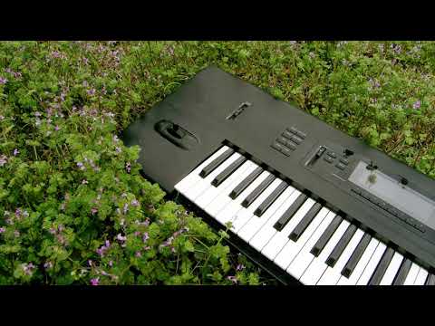 Multitracked Korg 01/WFD