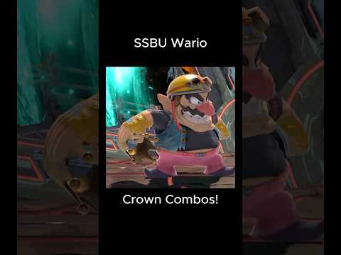 Wario Item Combos!