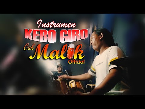 KEBO GIRO  CAK MALIK