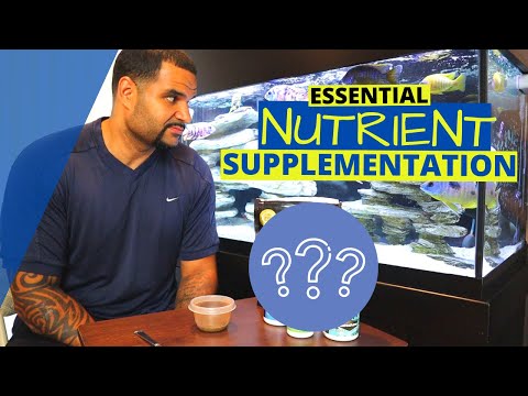 All Fish Foods Are Missing These! - (Add This For Color And Growth)