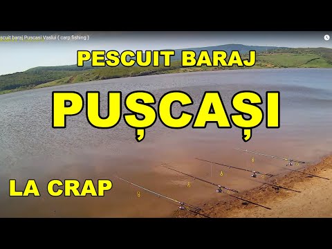 Pescuit baraj Puscasi VASLUI ( carp fishing )