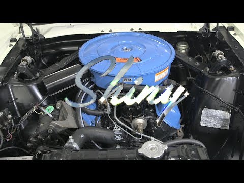 Shiny | How to Clean Your Engine Bay