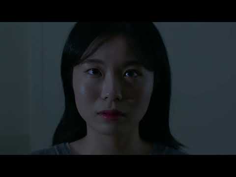 비디오 22