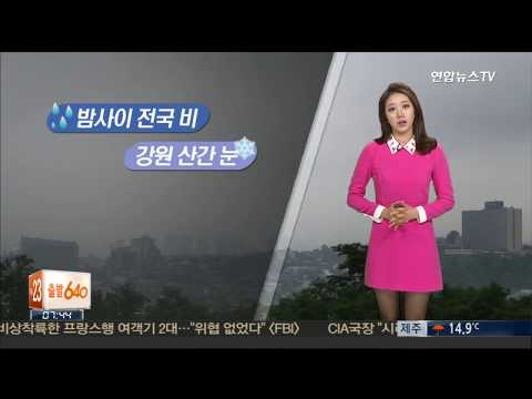 151118 이귀주 기상캐스터