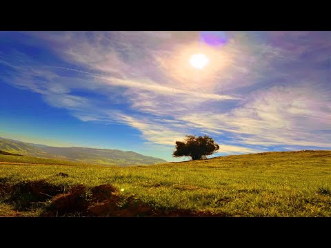 PLEASANTON RIDGE REGIONAL PARK, 2021 NOV 25, 4K