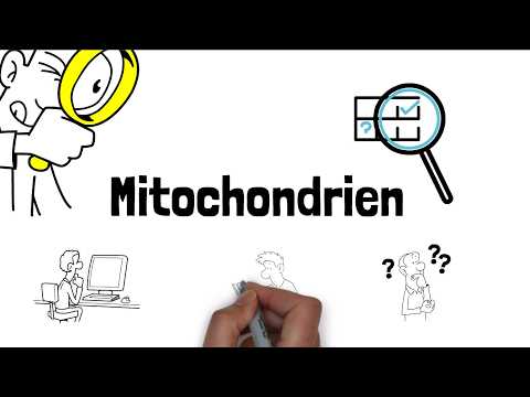 Das Geheimnis der Mitochondrien 🔥 ATP-Produktion einfach erklärt! | MedAT
