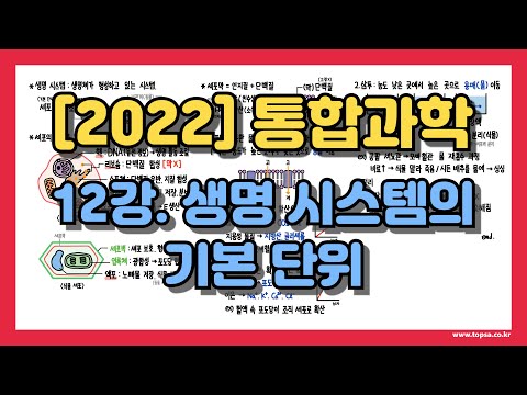 [고1 통합과학] 12강. 세포 구조, 확산, 삼투