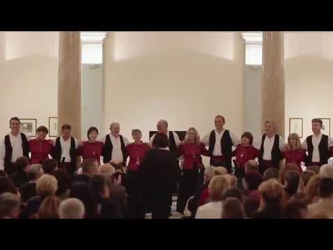 FALA OGNJU, RIBI, VINU - Prvi komin Snježanin