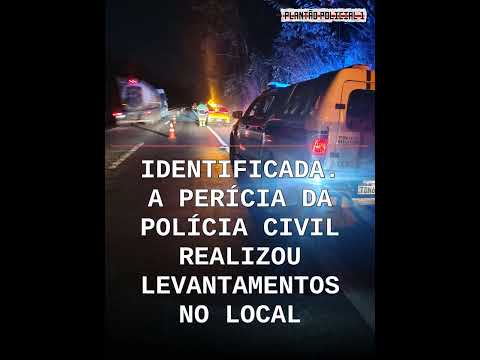 'Vulto' na pista antecede atropelamento fatal na MG-050 em Carmo do Cajuru; vítima não identifi