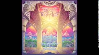 Ozric Tentacles - The High Pass
