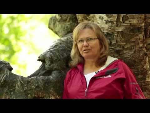 Witness21  2014 09 05