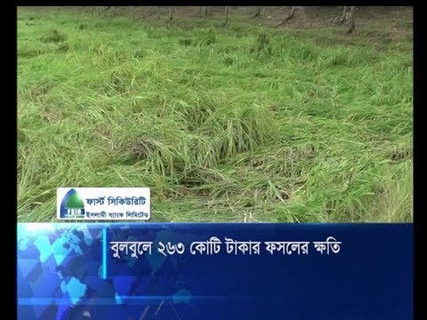 বুলবুলে ২৬৩ কোটি টাকার ফসলে ক্ষতি