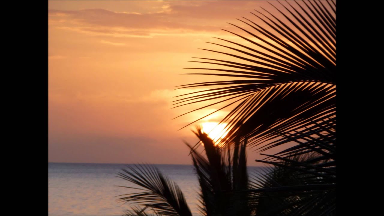 Promotional video thumbnail 2 for Joseph Angelastro