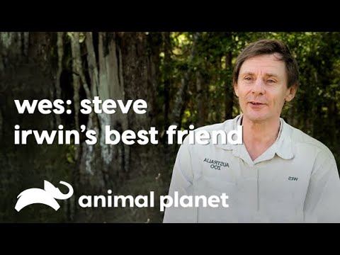 Wesley Mannion - Carrier of Steve Irwin's Legacy | स्टीव इरविन की विरासत का वाहक