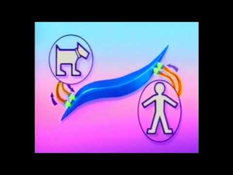 Brass Eye - "Cannabliss" segment with Claire Rayner